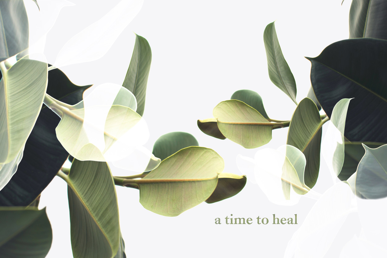 Part 6,  Healing Your Circle of Influence (Palm Sunday)